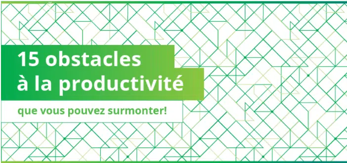 Infographie : 15 obstacles à la productivité
